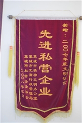 先進(jìn)私營(yíng)企業(yè)